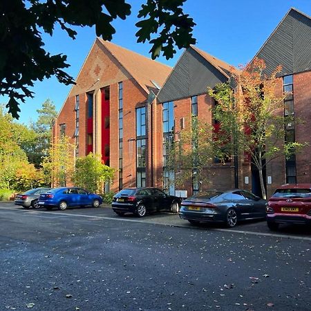 Modern Luxurious Apartment W/ Patio Balcony & View Jordanstown Eksteriør bilde