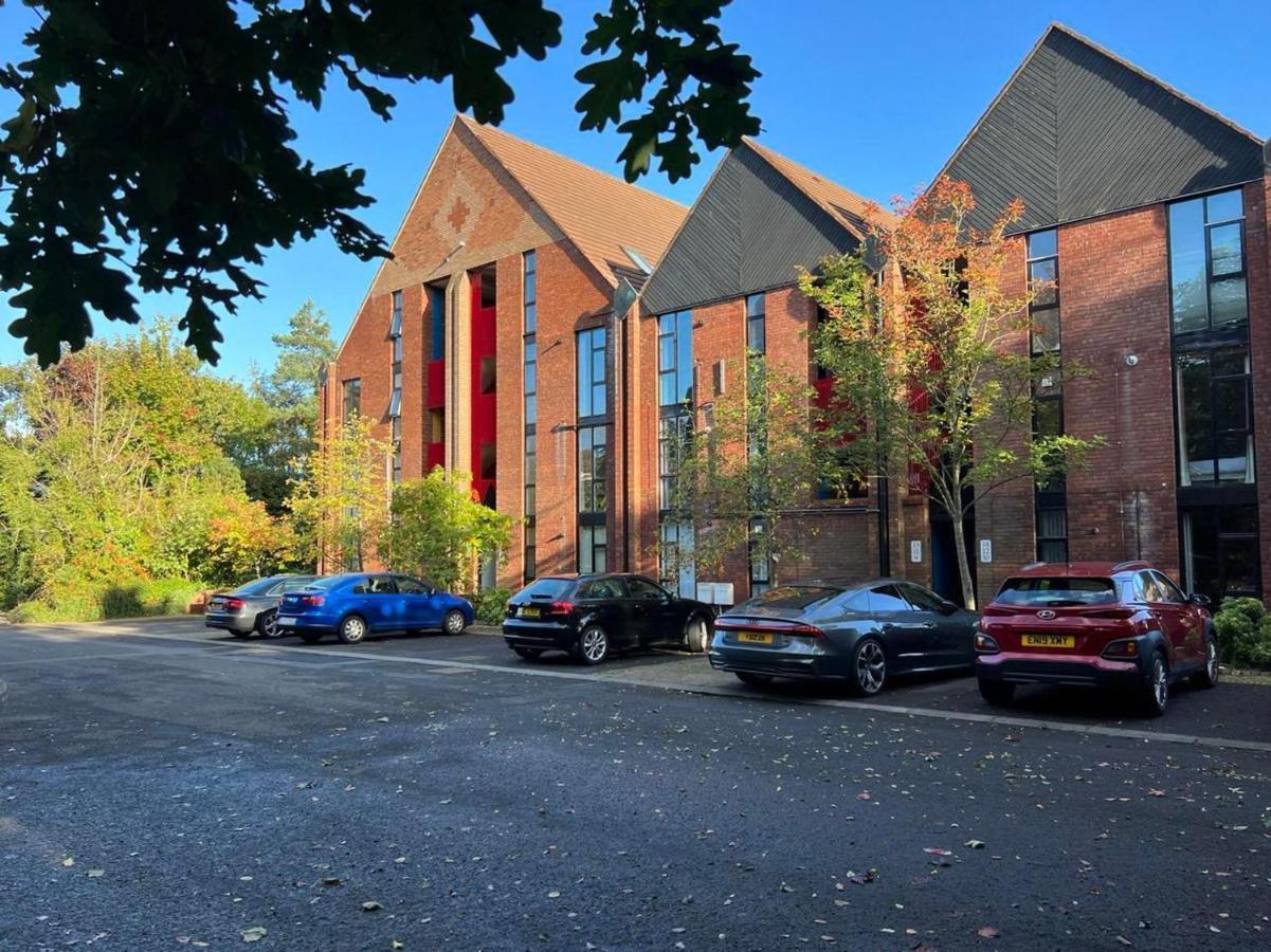 Modern Luxurious Apartment W/ Patio Balcony & View Jordanstown Eksteriør bilde
